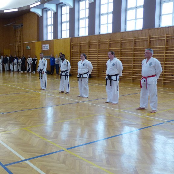 Taekwondo students lined up waiting for a grading