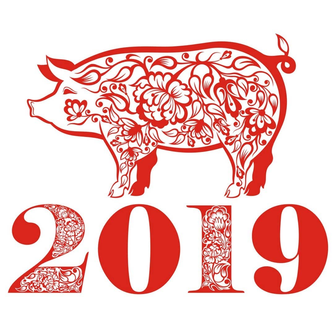 2019 Year of the Pig