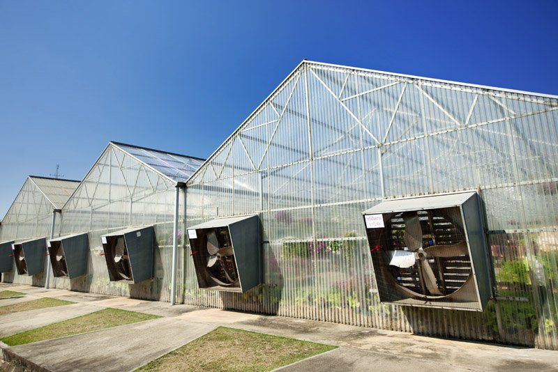 vetri per capannoni industriali