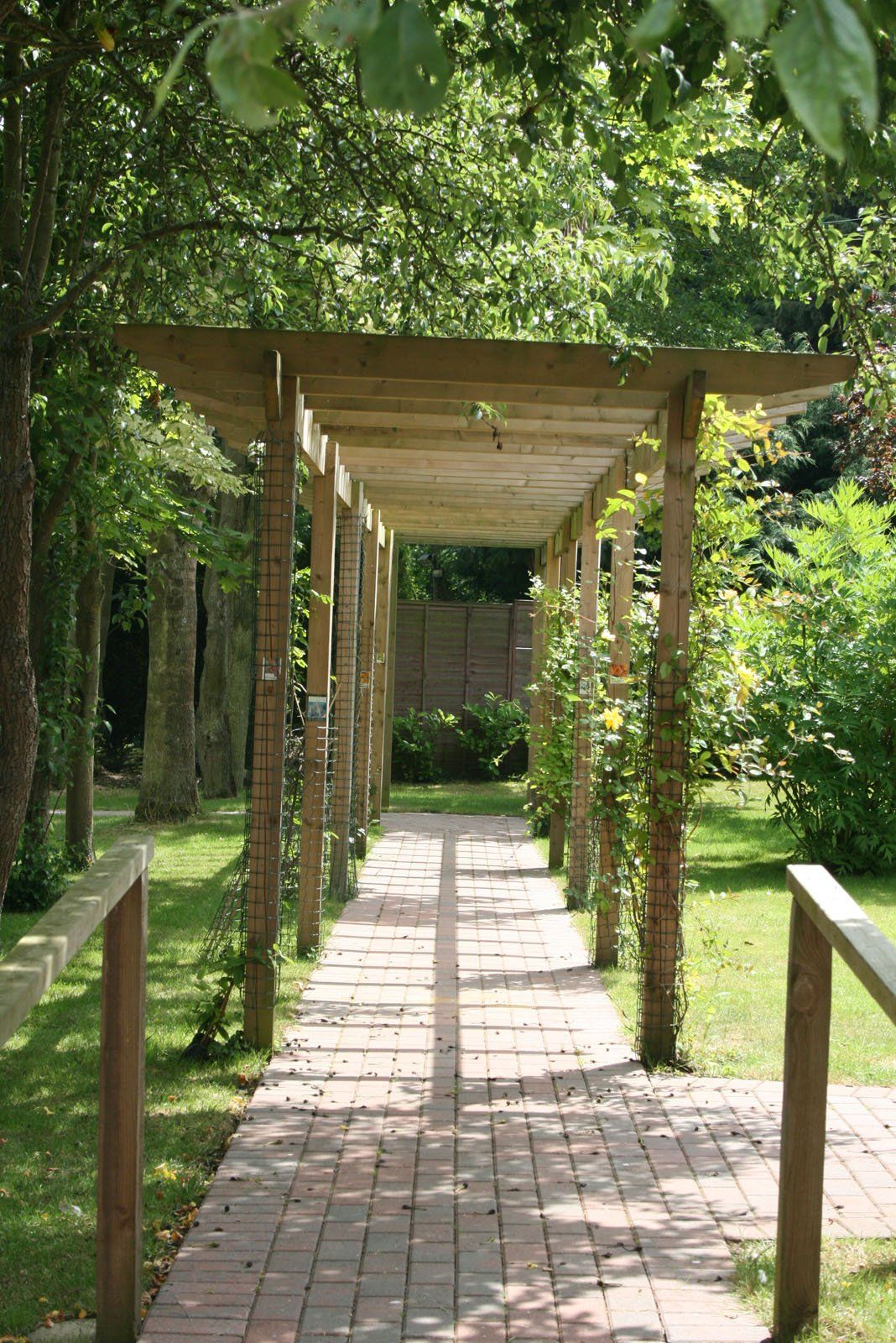 Garden 4