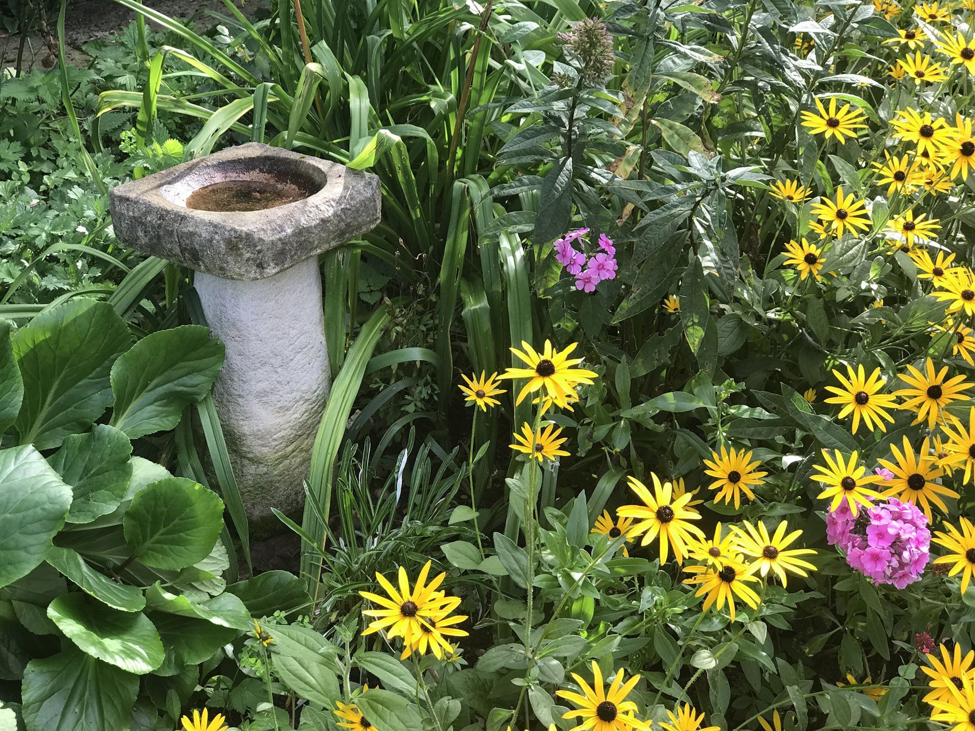 Garden 5