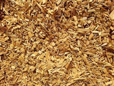 Close-up of tan wood shavings or mulch, filling the frame