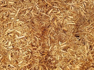 Close-up of tan wood shavings and sawdust texture