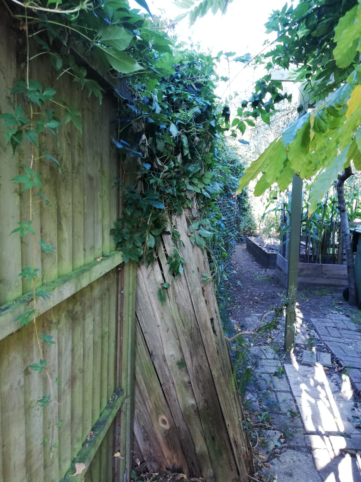 a poorly built existing fence