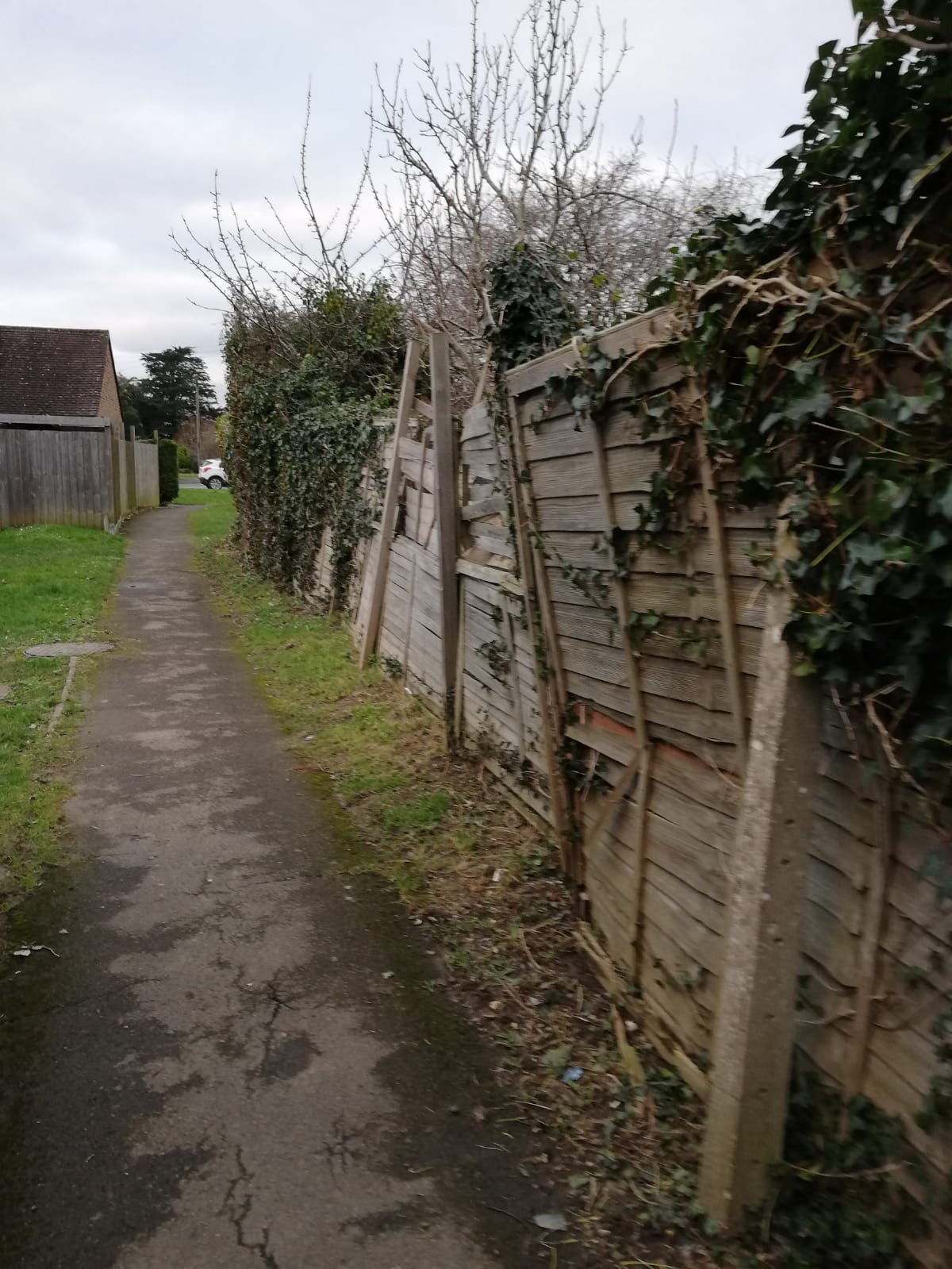 Broken Fence