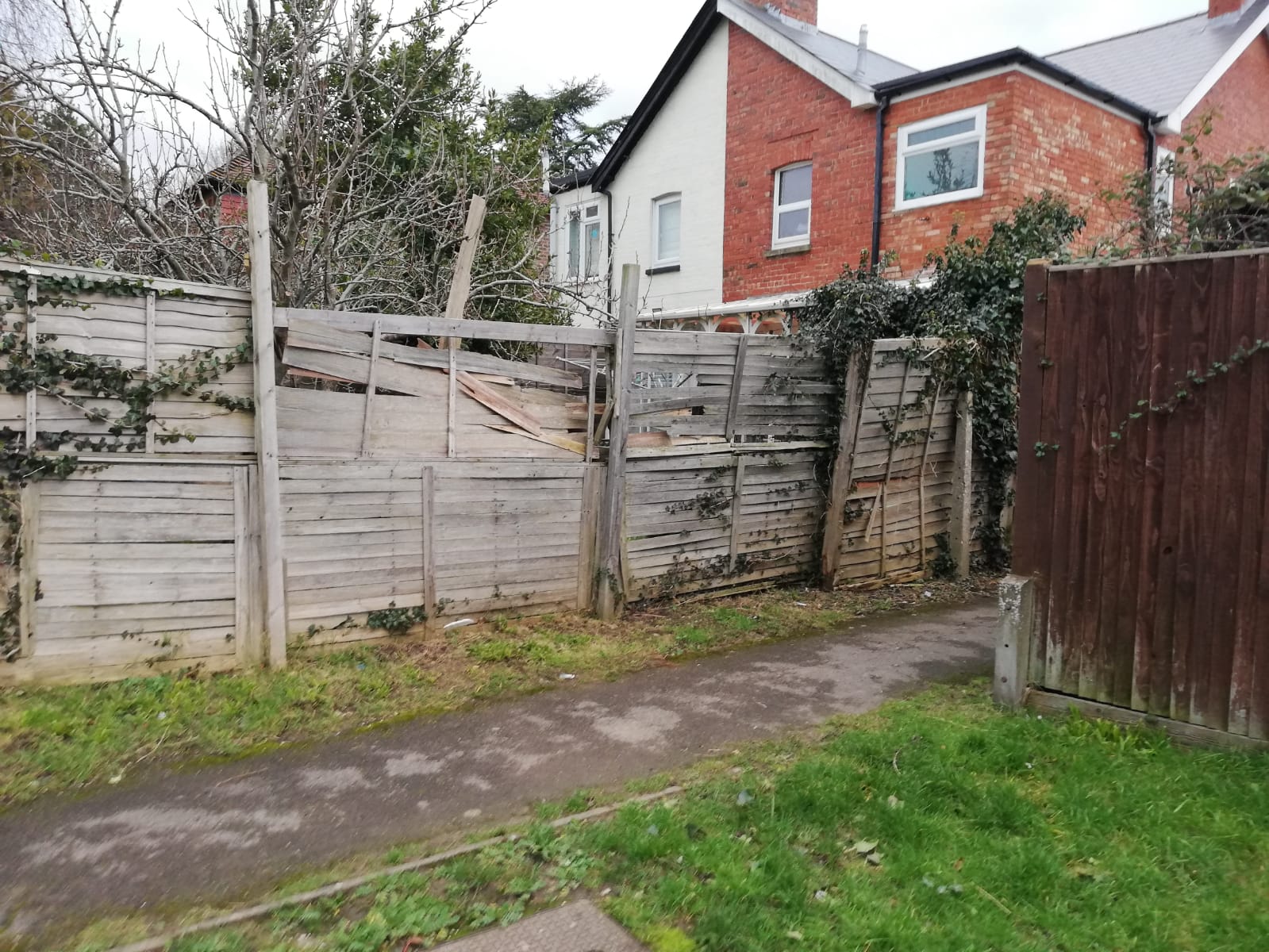 Old Broken Fence