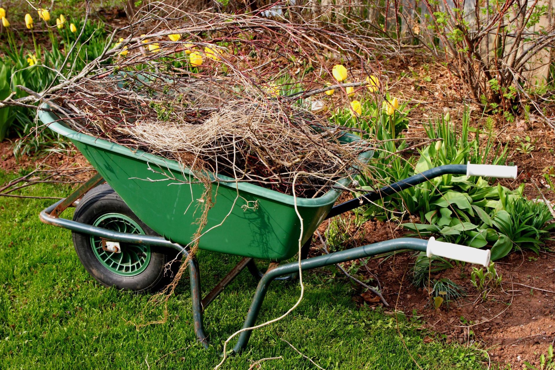 Installation — Green Wheelbarrow Holding Plants in Columbus, OH