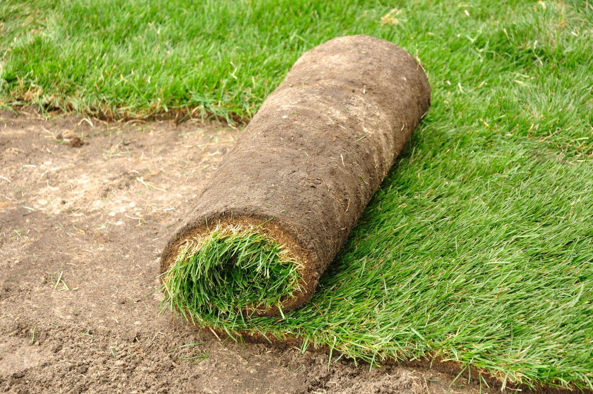 New Landscape Design — Installing Sod in Columbus, OH