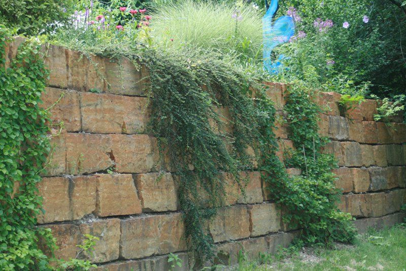 Plants Passing the Brick Wall — Columbus, OH — Scioto Landscaping