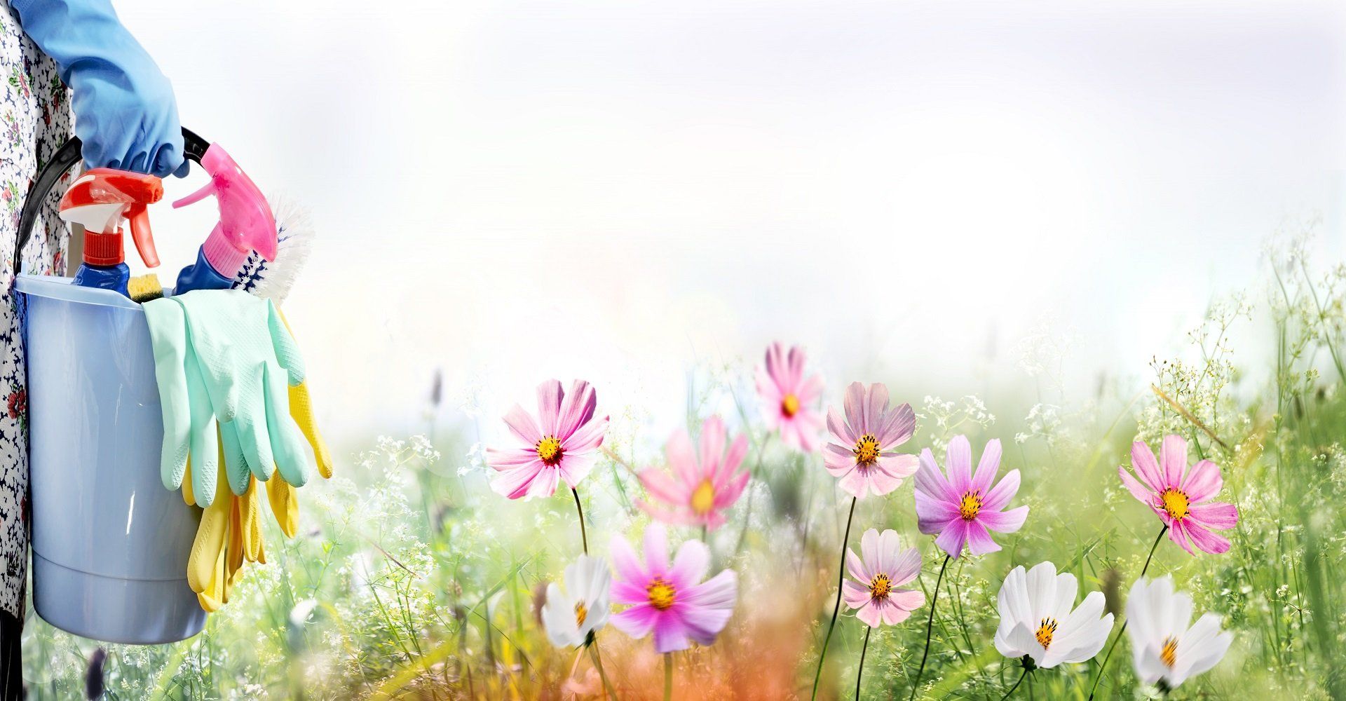 fiori