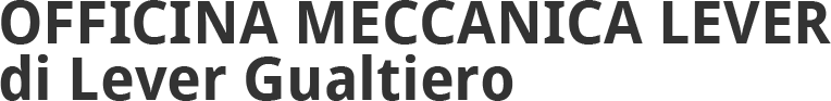 OFFICINA MECCANICA LEVER Gualtiero-LOGO