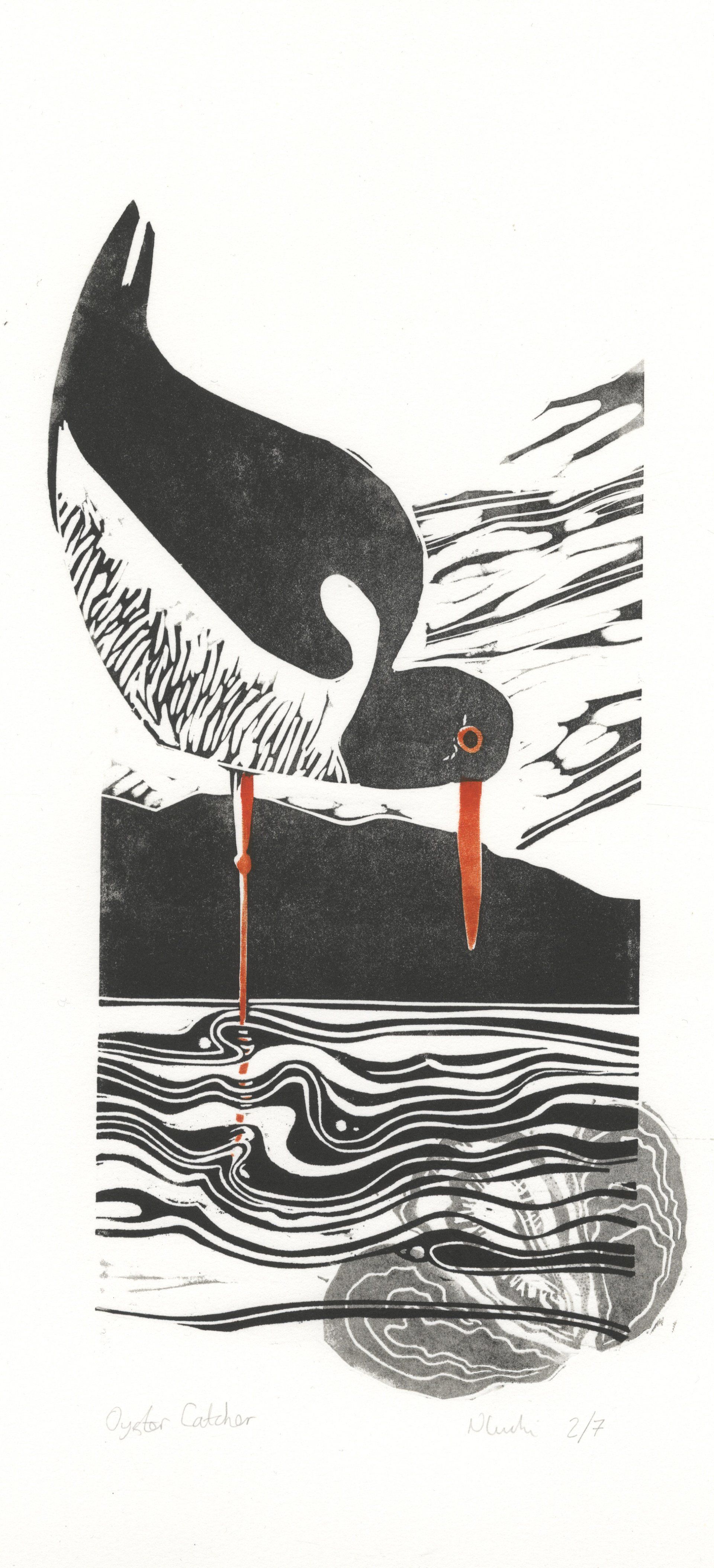 Lino cut of an Oyster Catcher bird