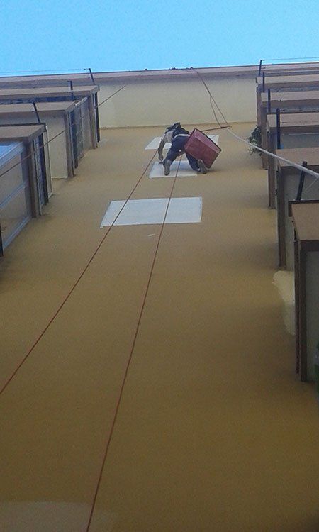 un uomo appeso a delle corde su una facciata di una casa con un secchio in mano