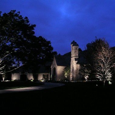 christmas lights
