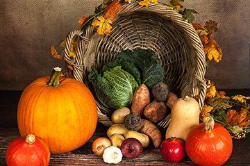 Still life of a wicker basket overflowing with autumn vegetables: pumpkin, squash, cabbage, potatoes, and garlic.