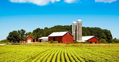 Crop Insurance Provider — American Country in Ferdinand, IN Crop Insurance Provider — American Country in Ferdinand, IN
