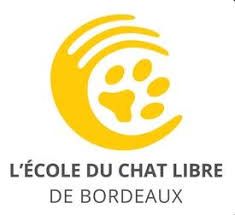 Ecole du chat - Bordeaux