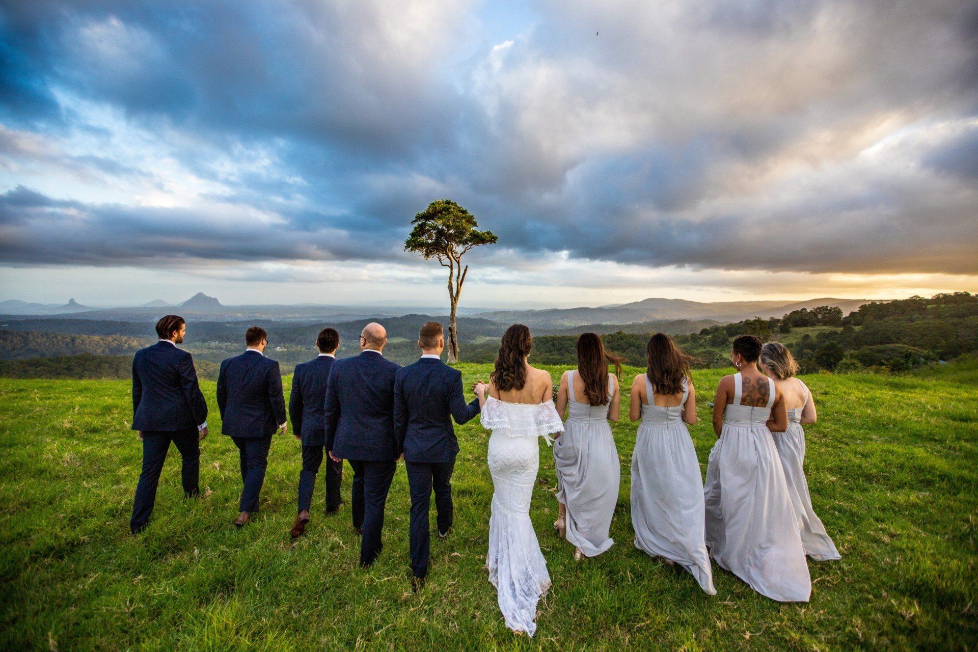 Wedding videography - a group of people standing in a field with a tree in the middle .