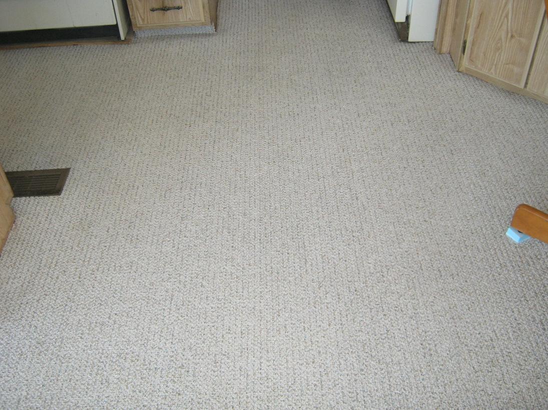 Berber after cleaning