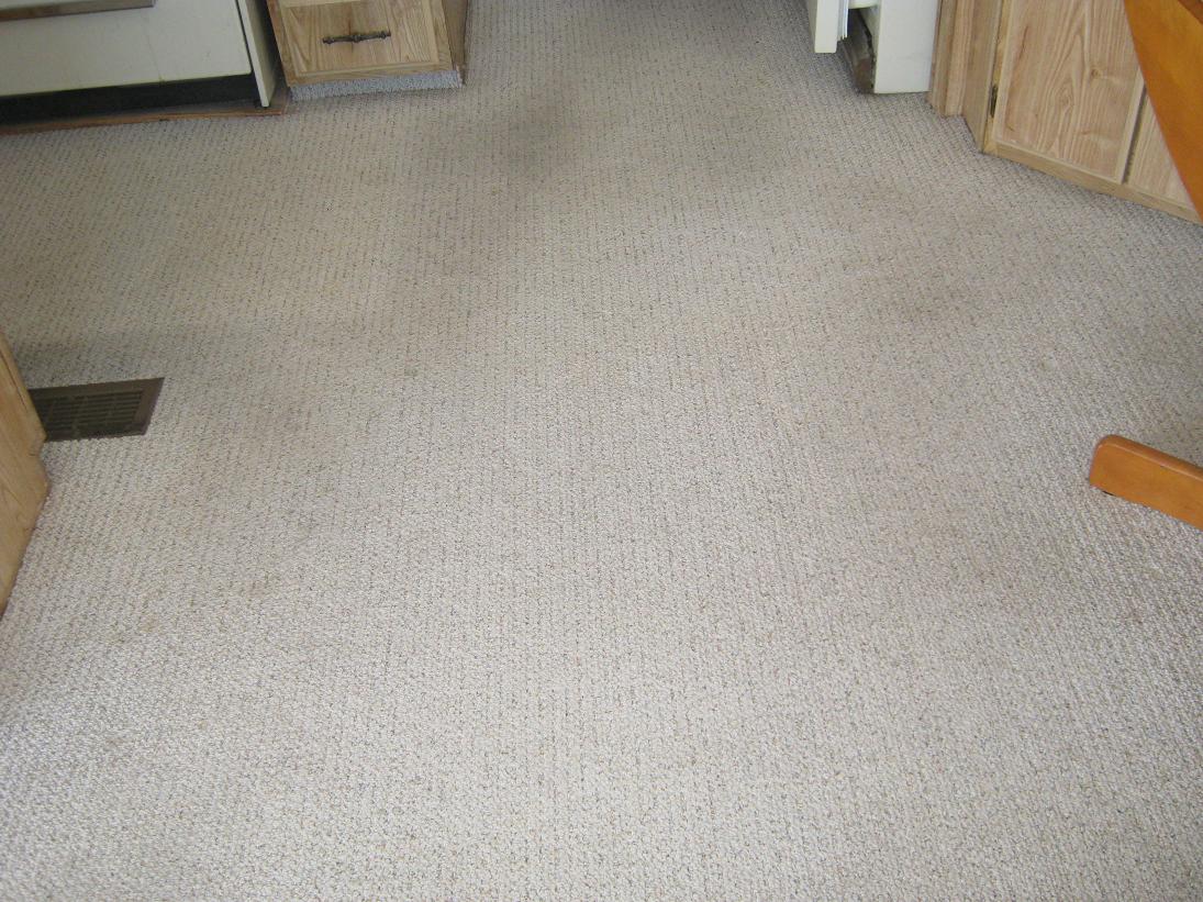 Berber before cleaning