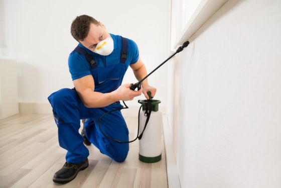 Man Prevention Pest — Pittsburgh, PA — Patriot Pest Control Inc. Man Prevention Pest — Pittsburgh, PA — Patriot Pest Control Inc.
