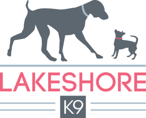 LakeShore K9