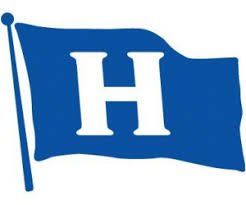 Blue flag with a white