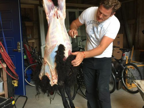Daglig leder i Ferdinand AS, Slakter Erik Hatlestad.