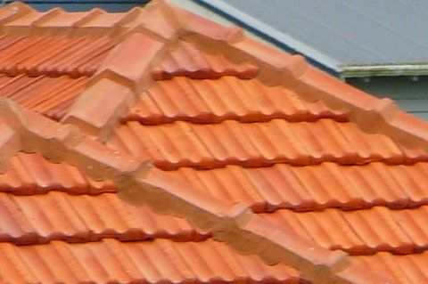 A1 Roofing and Consultants Ltd for the Wellington's best roof repairs