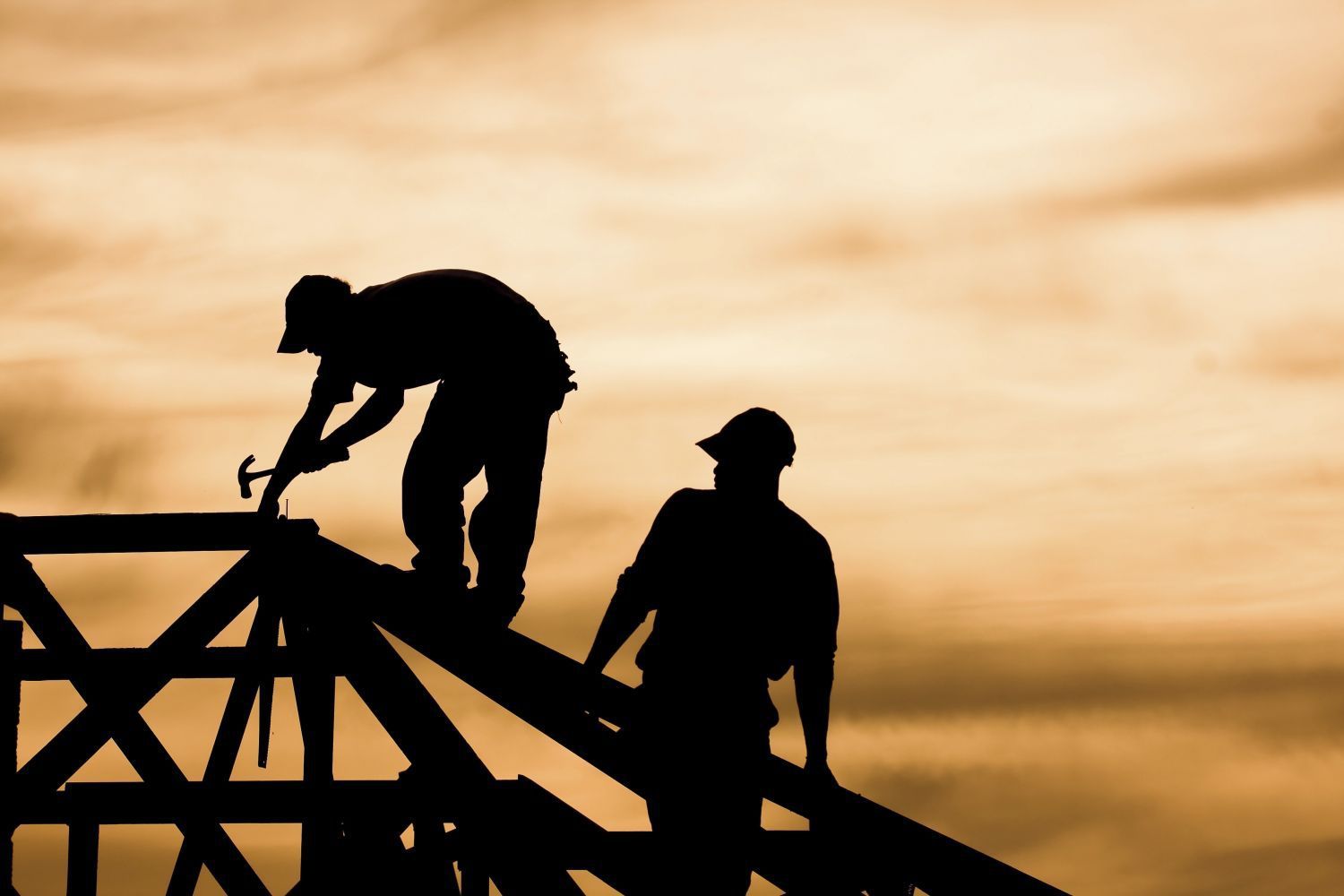 Professionals working on new roofing in Wellington