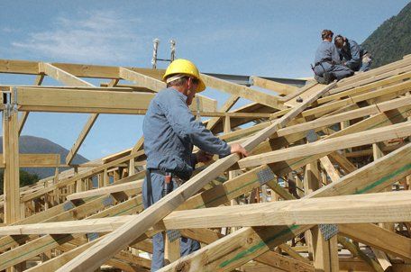 Professional building services