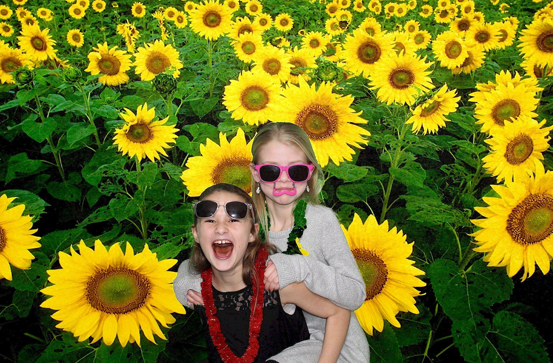 green screen photo booth rental Meredith NH