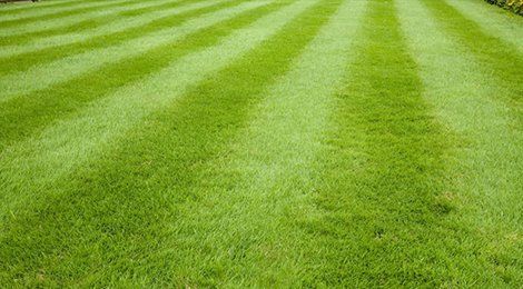 garden machinery hire