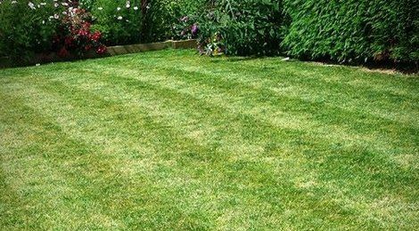 Professional garden equipment