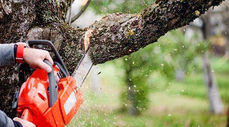 garden tools repair