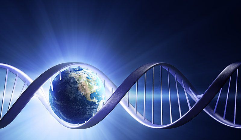 Paneles Solares para Proyectos Industriales