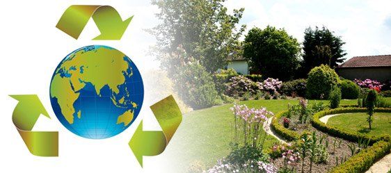 Paneles Solares para Proyectos Industriales