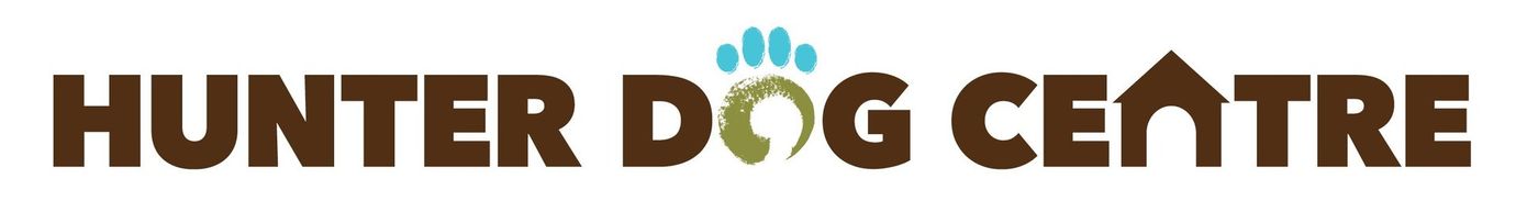 Dog Daycare Facility in Lake Macquarie