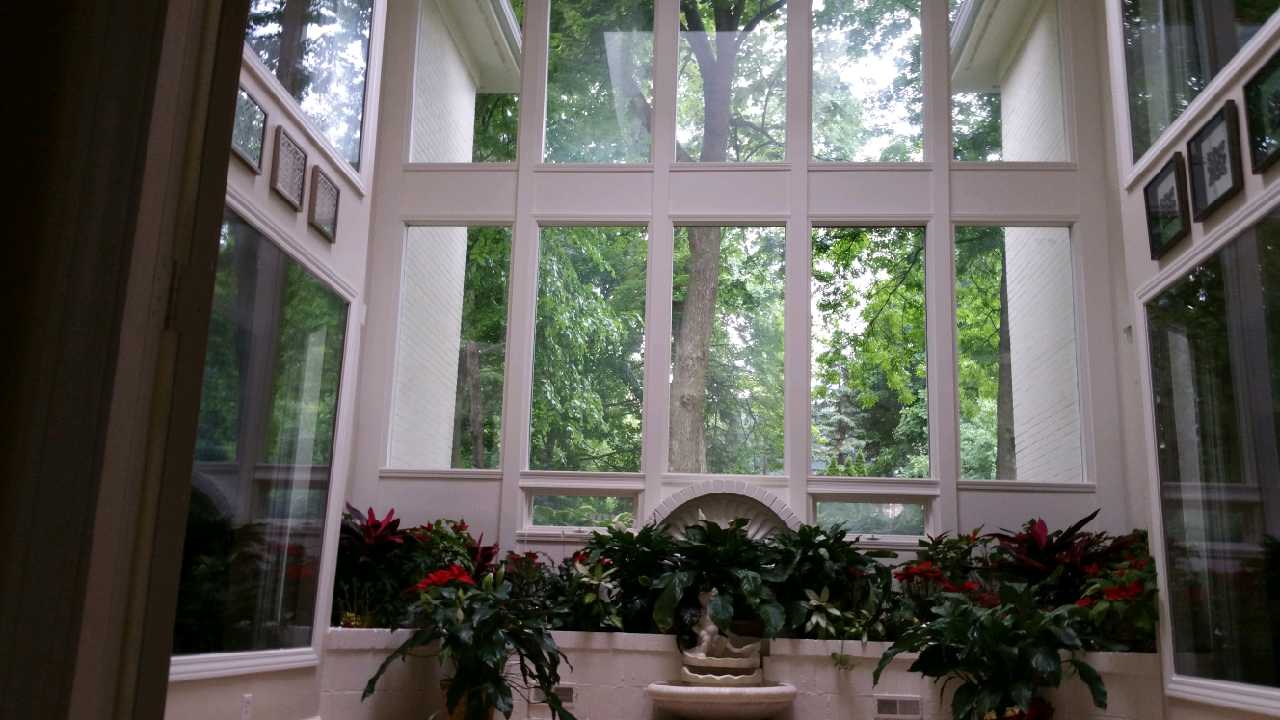 A room with a lot of windows and flowers. Devine Shine Window Cleaning Canton MI.
