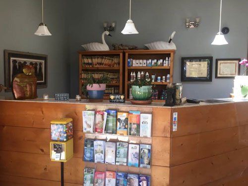 Animal Hospital & Veterinary Clinic Jamestown, Greensboro & High Point, NC