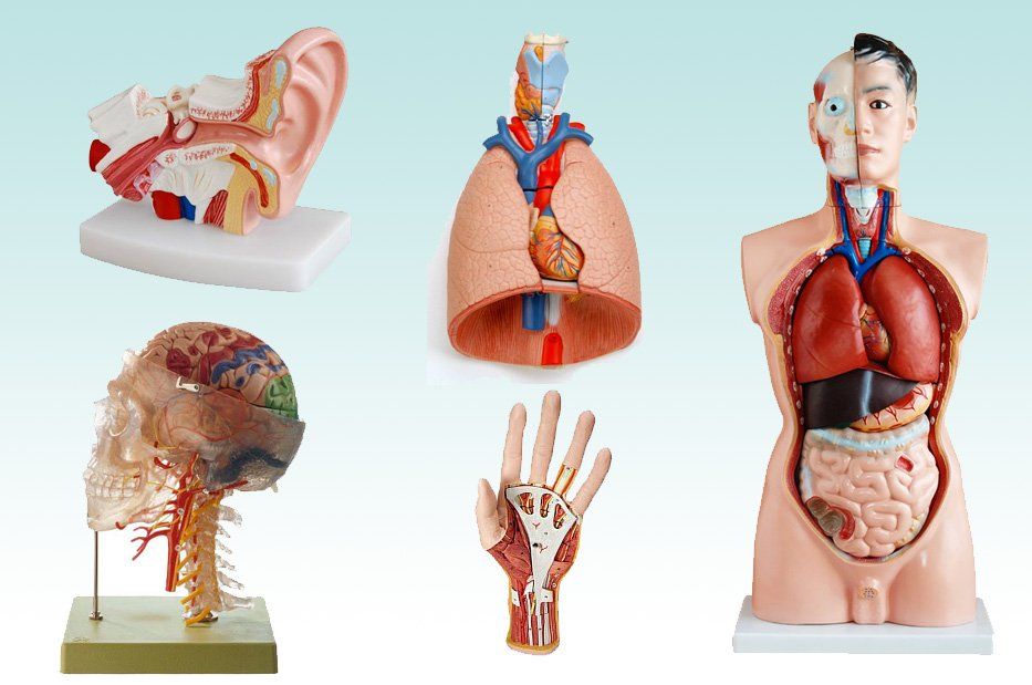 Multisalud