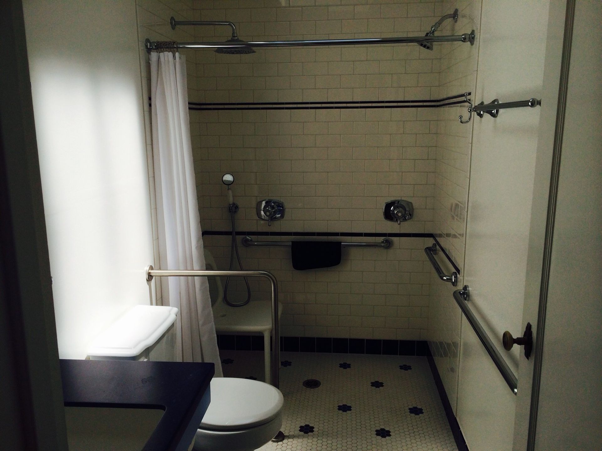Bathroom accessible shower with rails