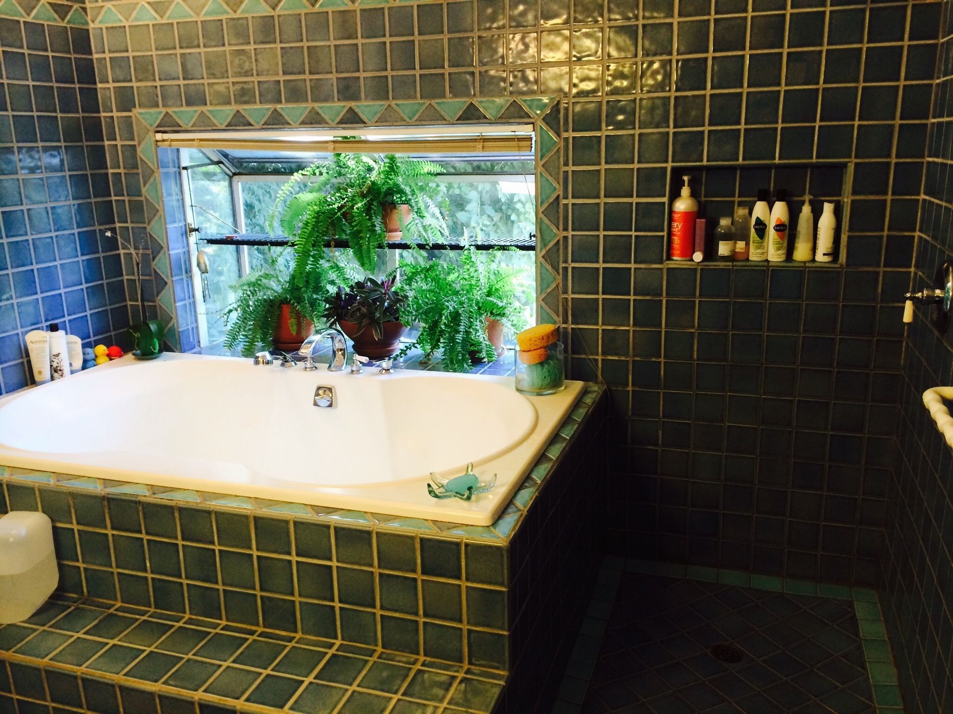 Bathtub next to shower with safety rail