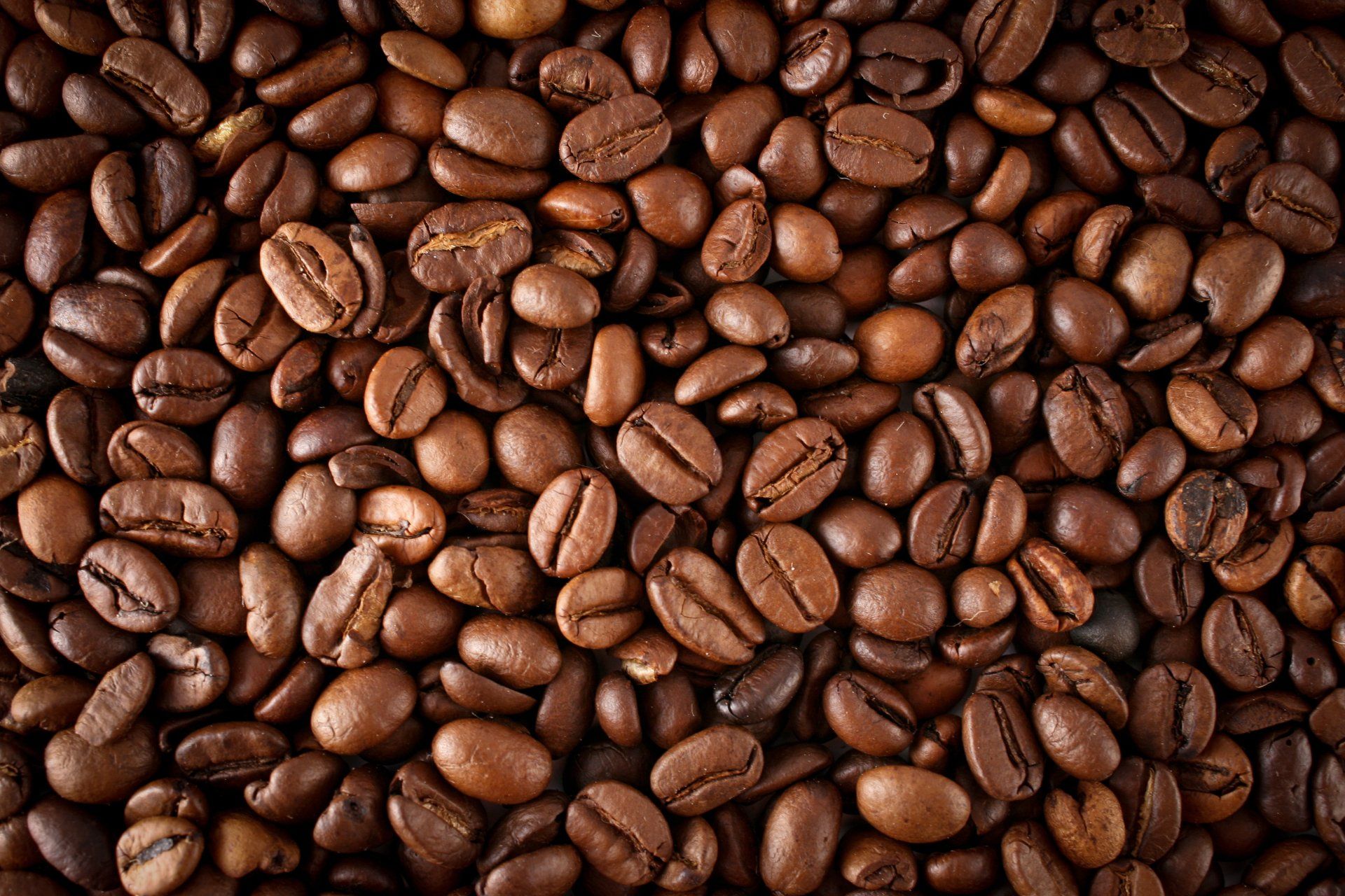 Eine Nahaufnahme von einem Haufen Kaffeebohnen