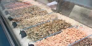 Fresh Fish - Fish Market in Lakeland, FL