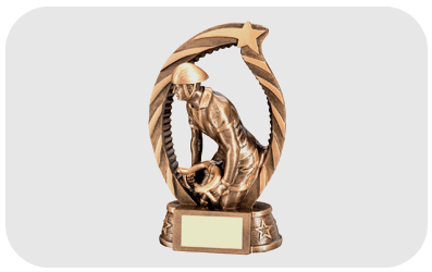 silver coloured trophy
