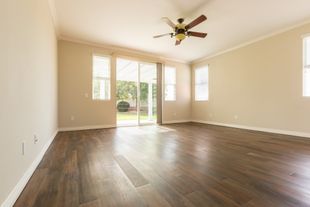 parquet scuro
