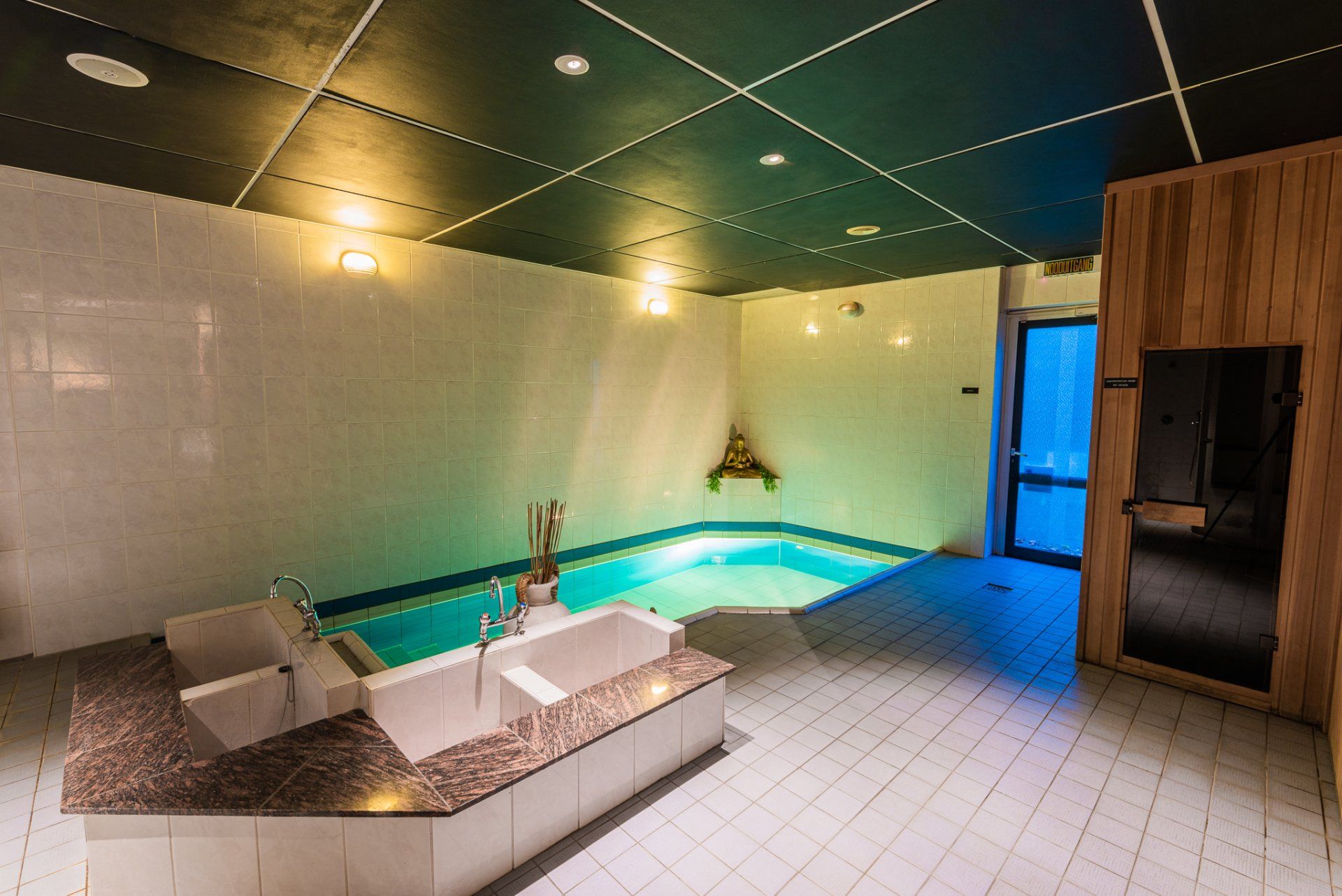 Een badkamer met ligbad en een zwembad