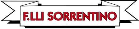 AUTOTRASPORTI F.LLI SORRENTINO E C. sas-LOGO