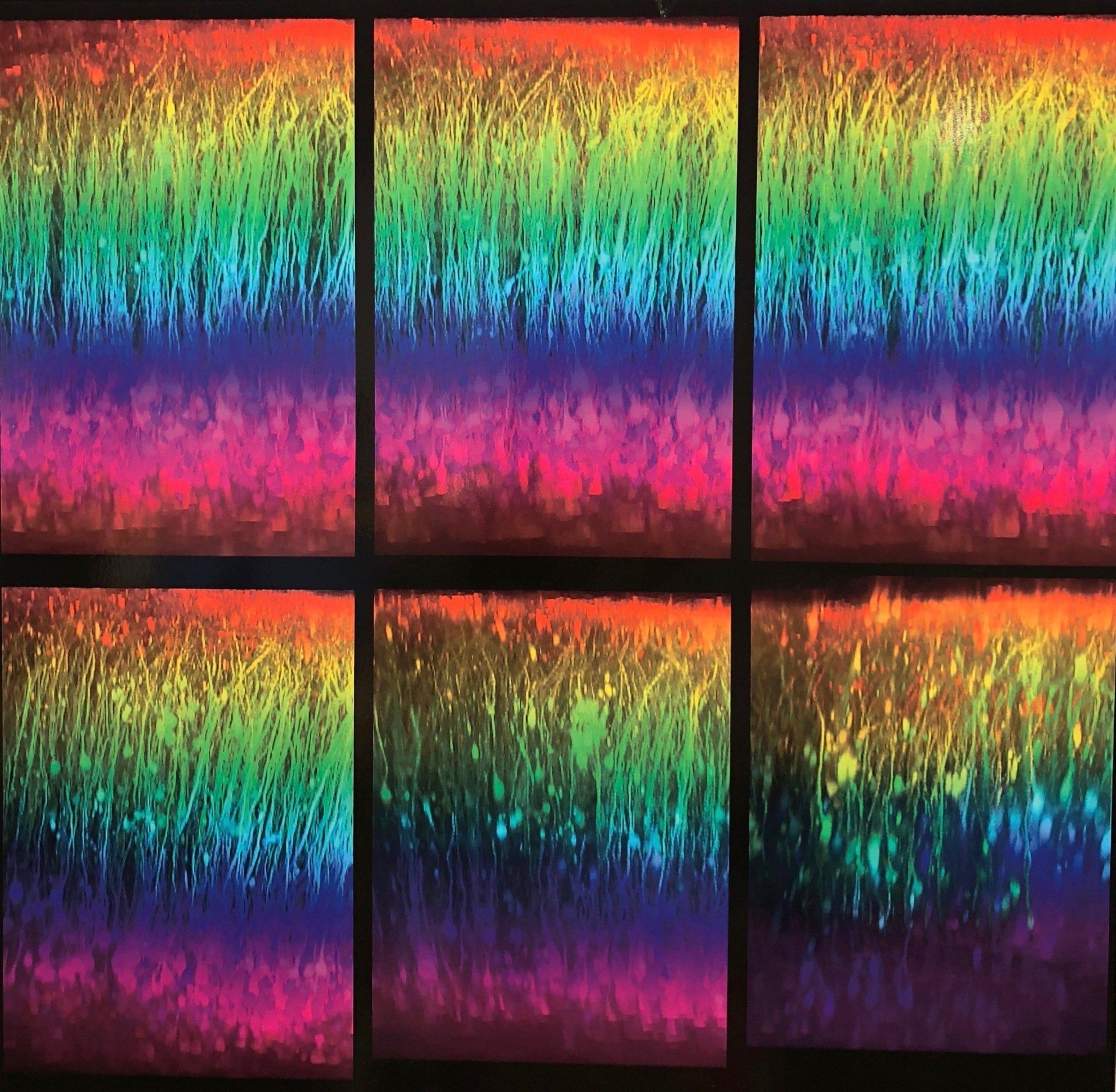 Neurons in the brain, vividly colored in rainbow and shown in cross section